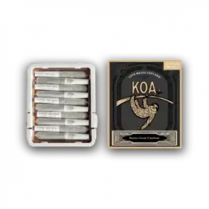 KOA – Banana Cream x Jealousy – 10 ct. Infused Pre Rolls