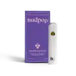 Budpop Delta 8 + Live Resin 2g Disposables (1600 mg) – Blackberry Kush
