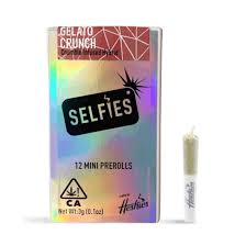 GELATO CRUNCH INFUSED-MINI PRE-ROLLS