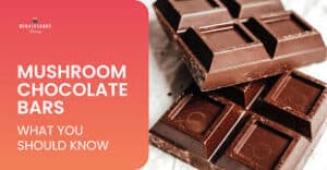 Magic Mushroom Chocolate Bar