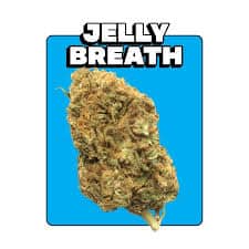 JELLY BREATH
