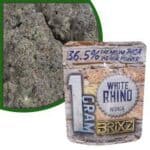 WHITE RHINO
