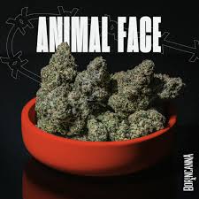 Animal Face-3.5g
