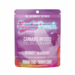 BLUEBERRY-Cannabis Infused Gummies|RECOVER-Kushy Punch